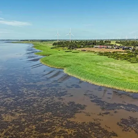 Semesterbostad C11414-skjern-hybenvej-58 *